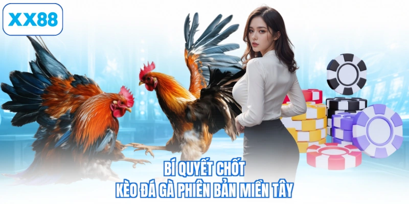 Bí quyết chốt kèo đá gà phiên bản miền Tây