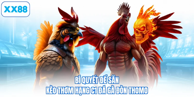 Bí quyết để săn kèo thơm hạng c1 đá gà đòn thomo