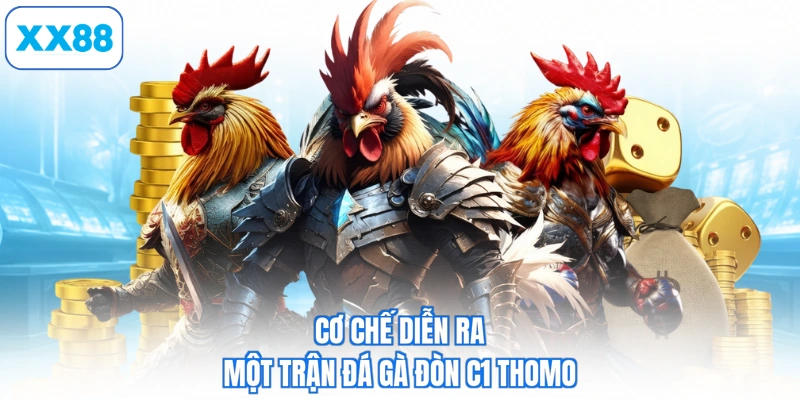 Cơ chế diễn ra một trận đá gà đòn c1 thomo