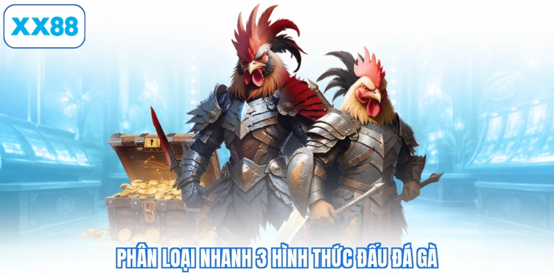 Phân loại nhanh 3 hình thức đấu đá gà