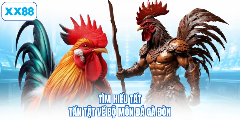 Tìm hiểu tất tần tật về bộ môn đá gà đòn